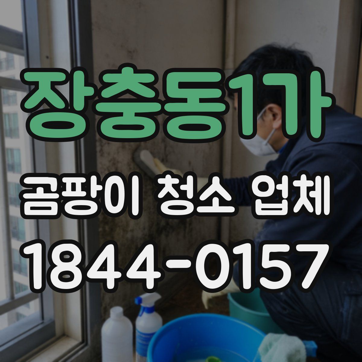 장충동1가 곰팡이 청소 업체