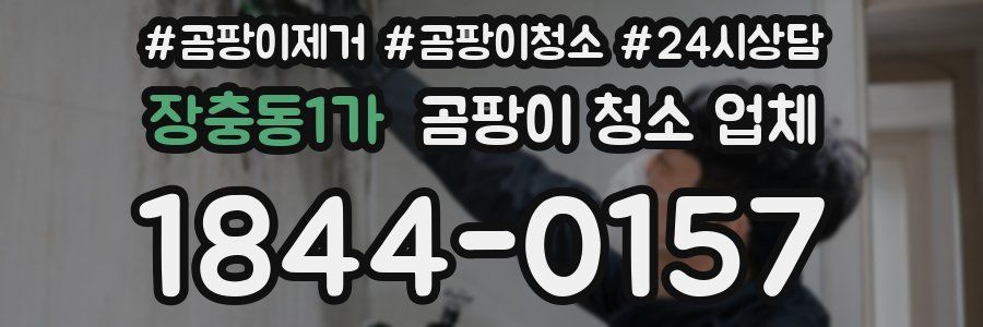 장충동1가 곰팡이 청소 업체