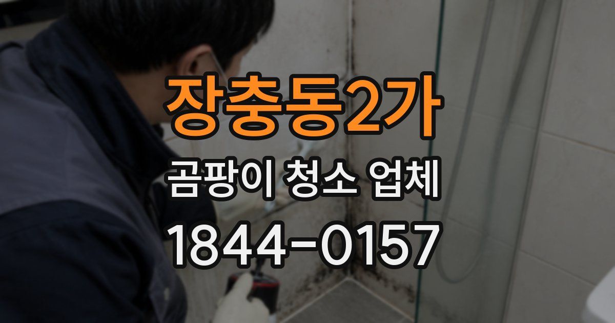 장충동2가 곰팡이 청소 업체