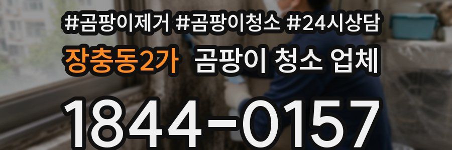 장충동2가 곰팡이 청소 업체