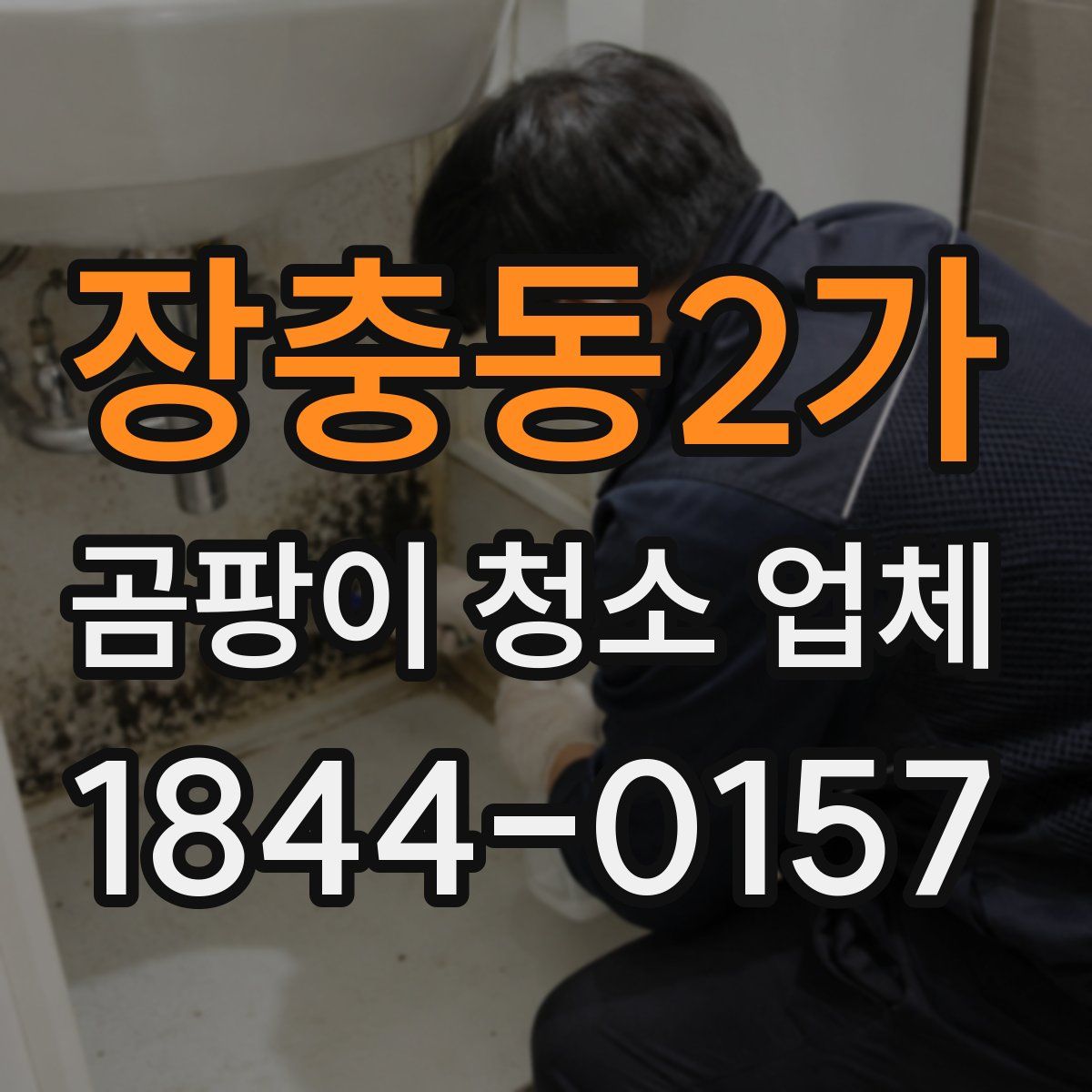 장충동2가 곰팡이 청소 업체