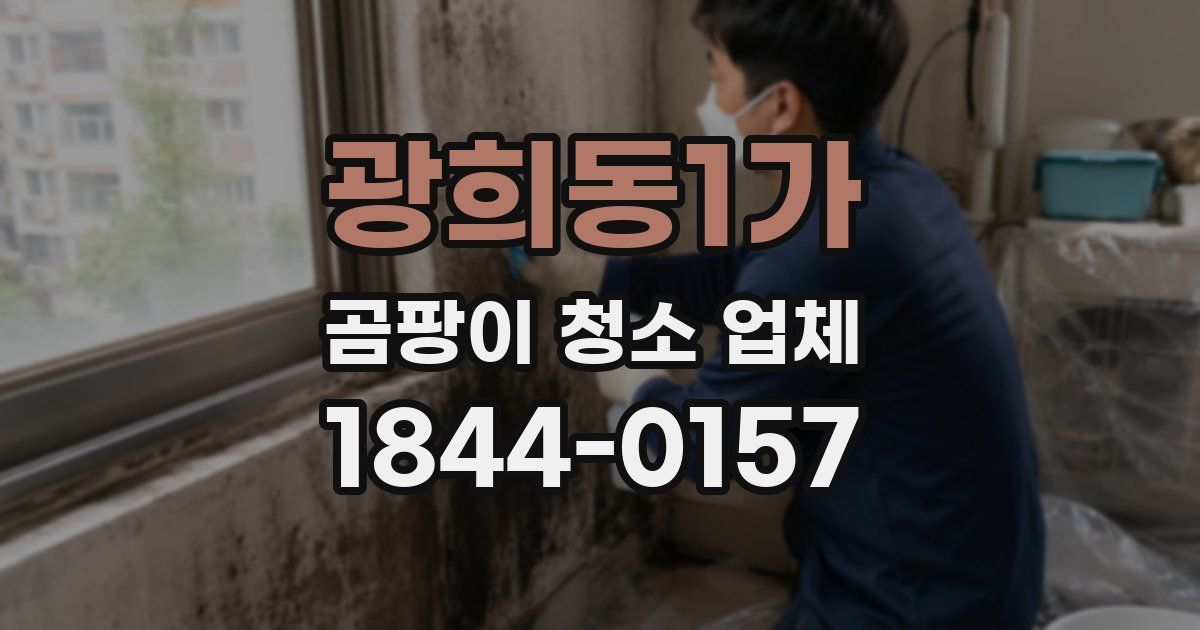 광희동1가 곰팡이 청소 업체