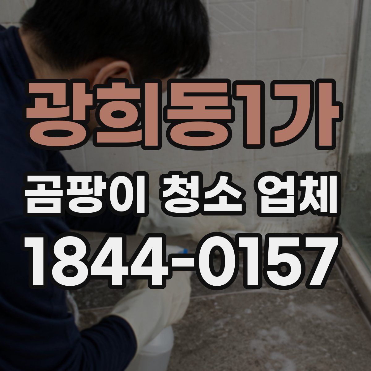 광희동1가 곰팡이 청소 업체
