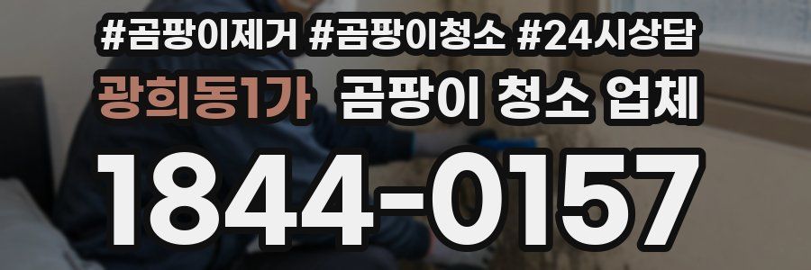 광희동1가 곰팡이 청소 업체