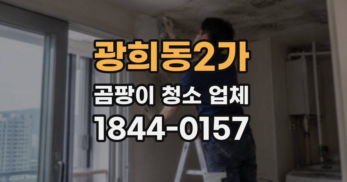 광희동2가 곰팡이 청소 업체