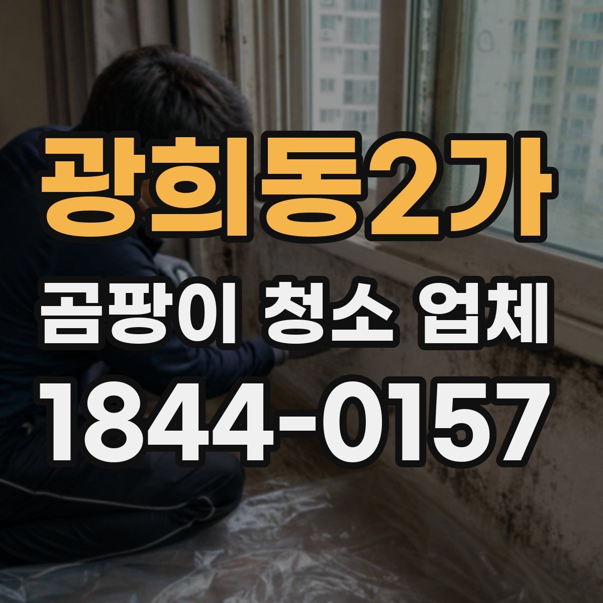 광희동2가 곰팡이 청소 업체