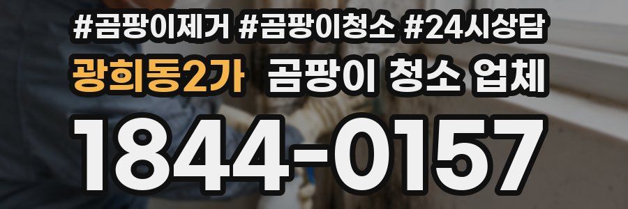 광희동2가 곰팡이 청소 업체