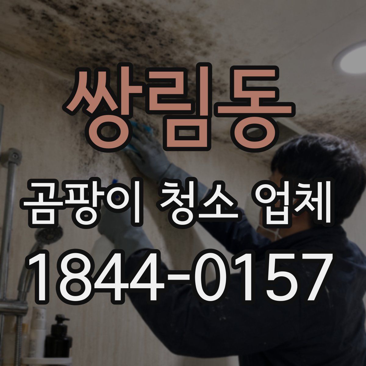 쌍림동 곰팡이 청소 업체