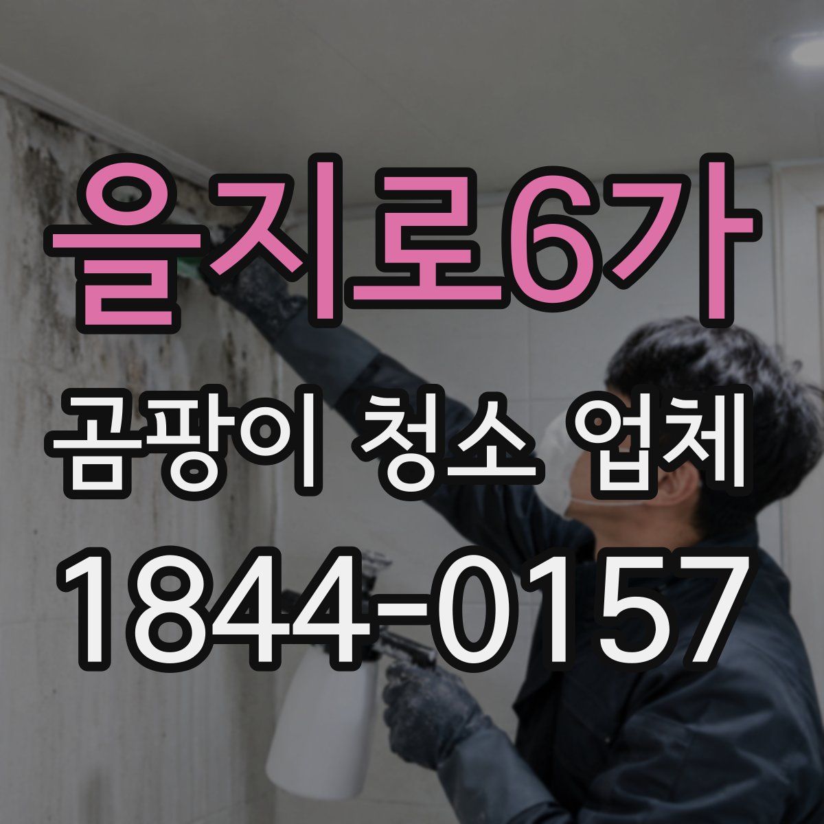 을지로6가 곰팡이 청소 업체