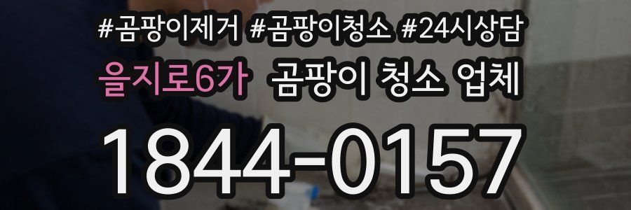 을지로6가 곰팡이 청소 업체