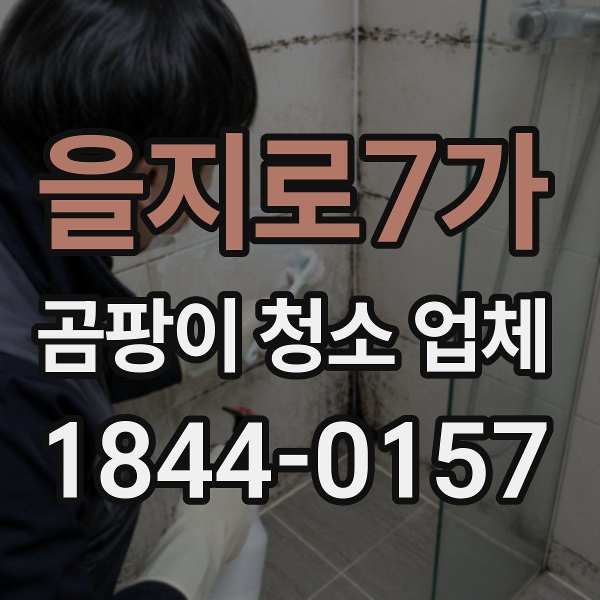 을지로7가 곰팡이 청소 업체