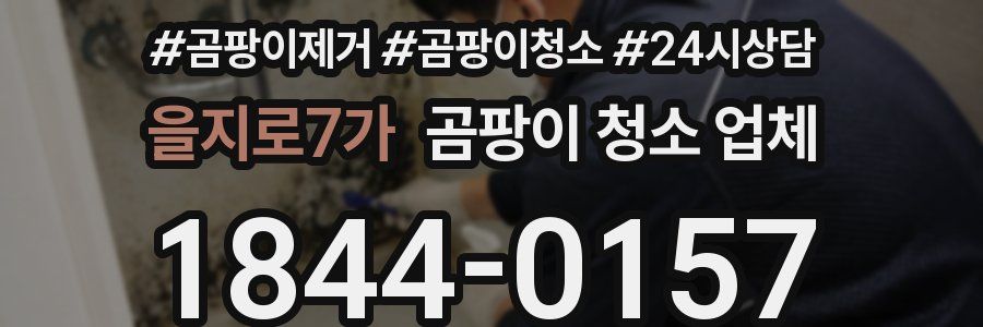 을지로7가 곰팡이 청소 업체