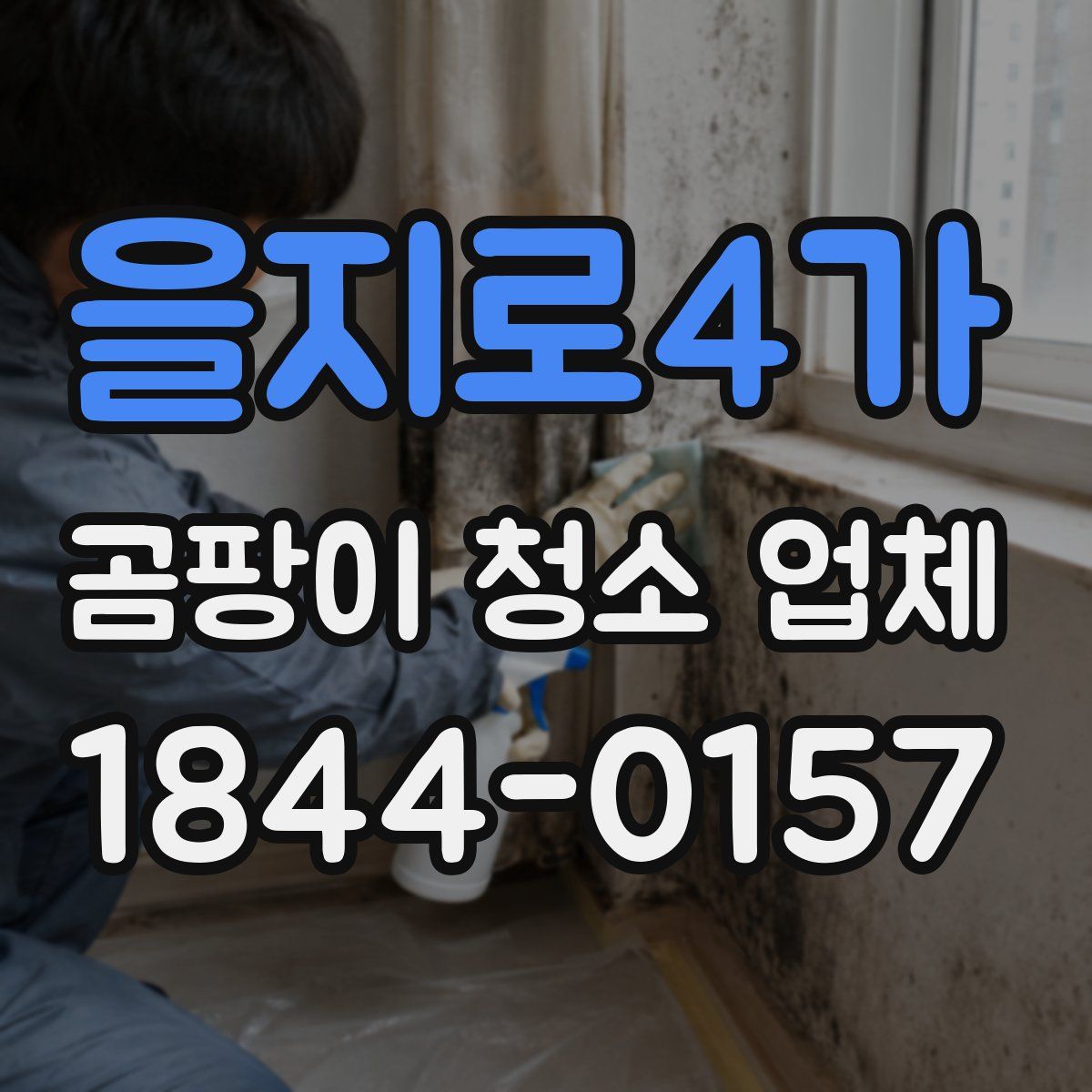 을지로4가 곰팡이 청소 업체