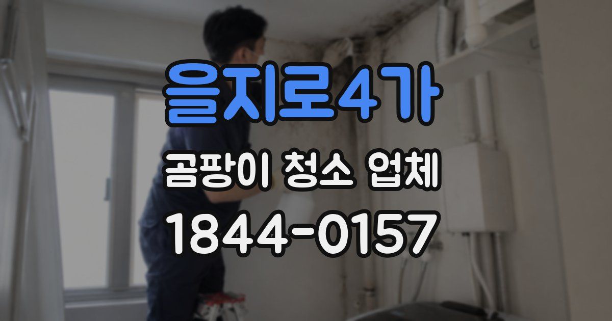 을지로4가 곰팡이 청소 업체