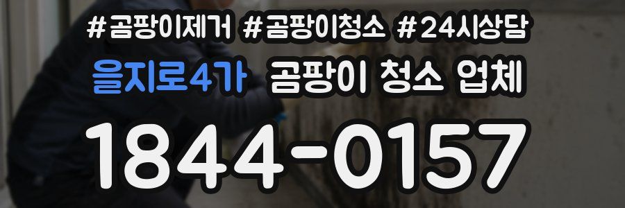 을지로4가 곰팡이 청소 업체