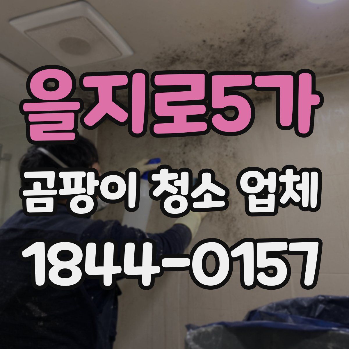 을지로5가 곰팡이 청소 업체