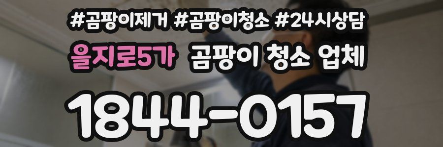 을지로5가 곰팡이 청소 업체