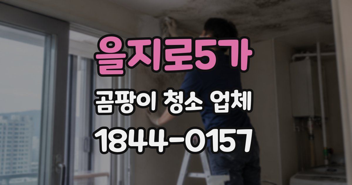 을지로5가 곰팡이 청소 업체
