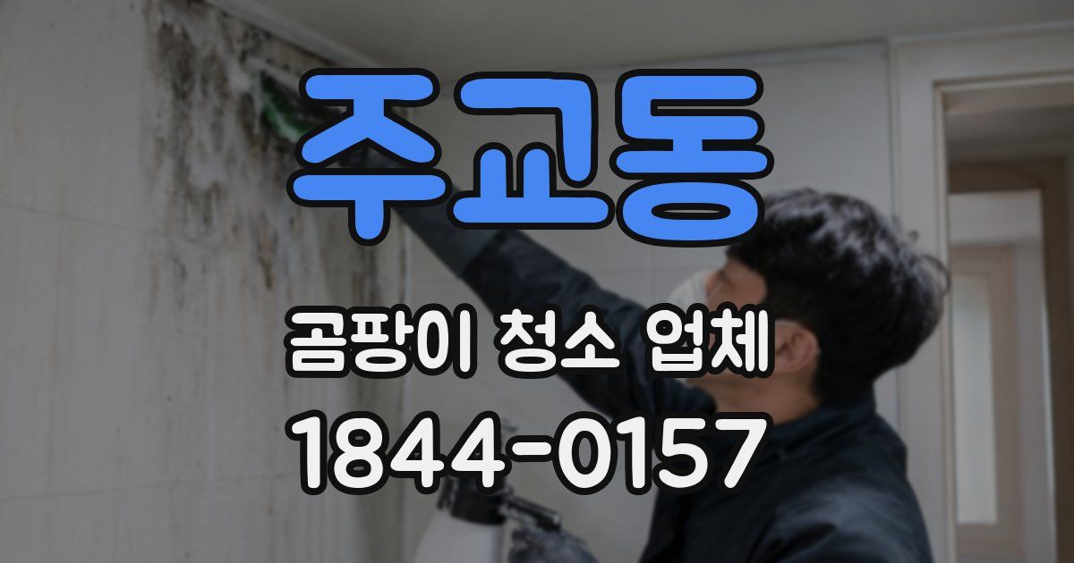 주교동 곰팡이 청소 업체