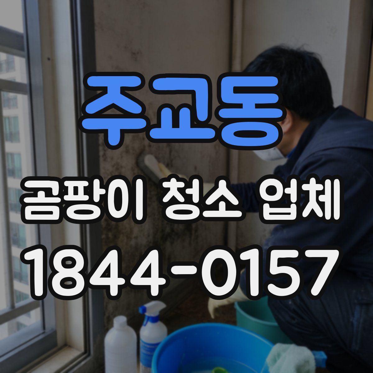 주교동 곰팡이 청소 업체
