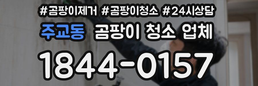 주교동 곰팡이 청소 업체