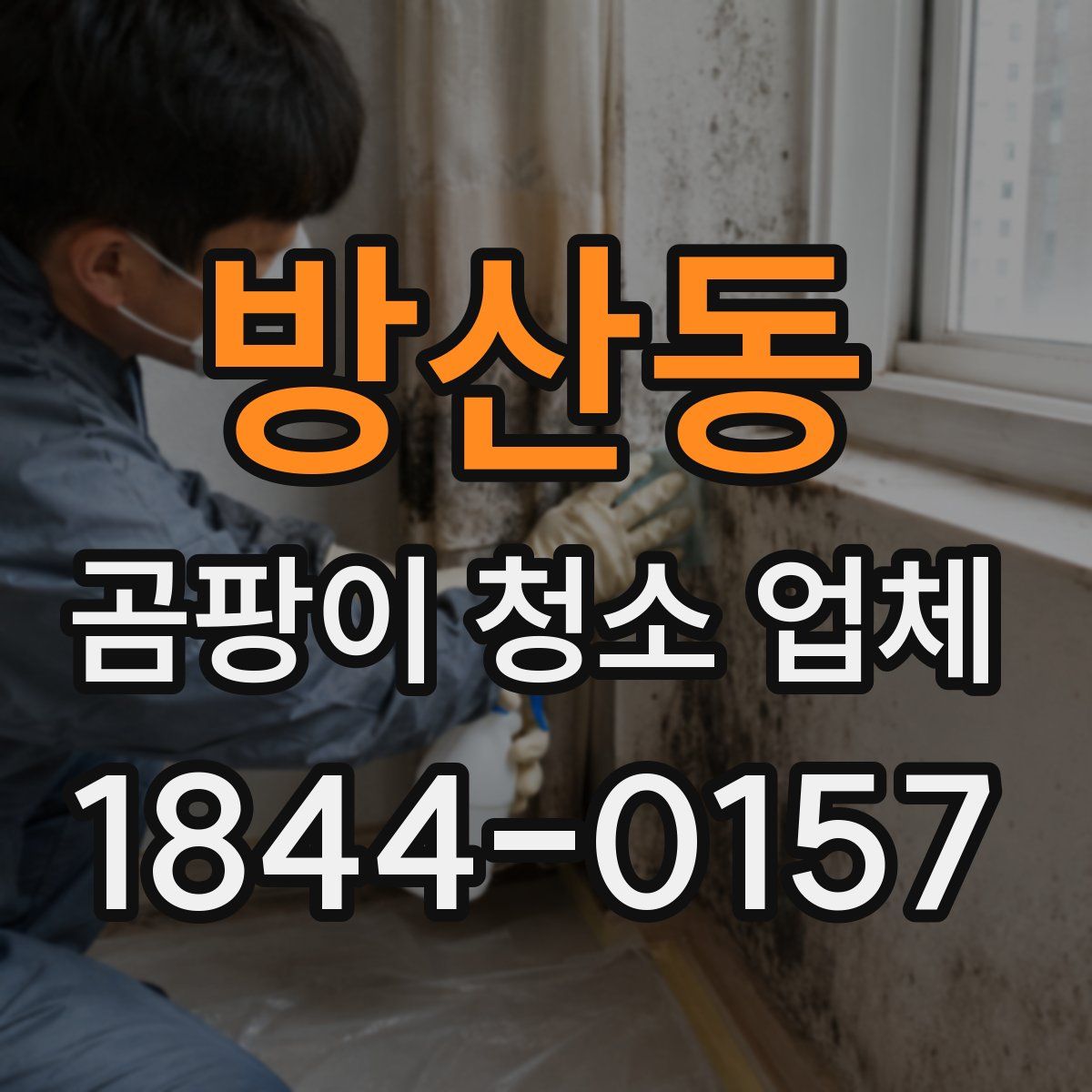 방산동 곰팡이 청소 업체