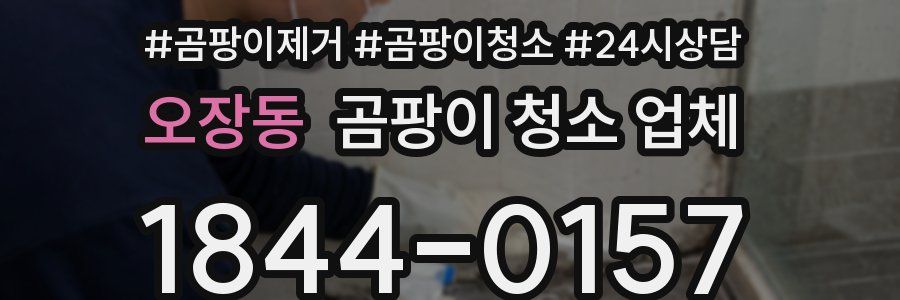 오장동 곰팡이 청소 업체