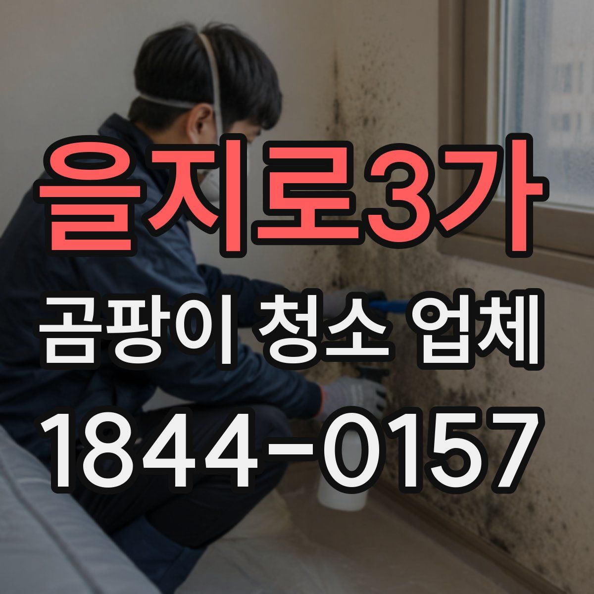 을지로3가 곰팡이 청소 업체
