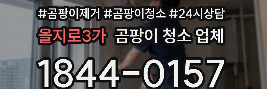 을지로3가 곰팡이 청소 업체