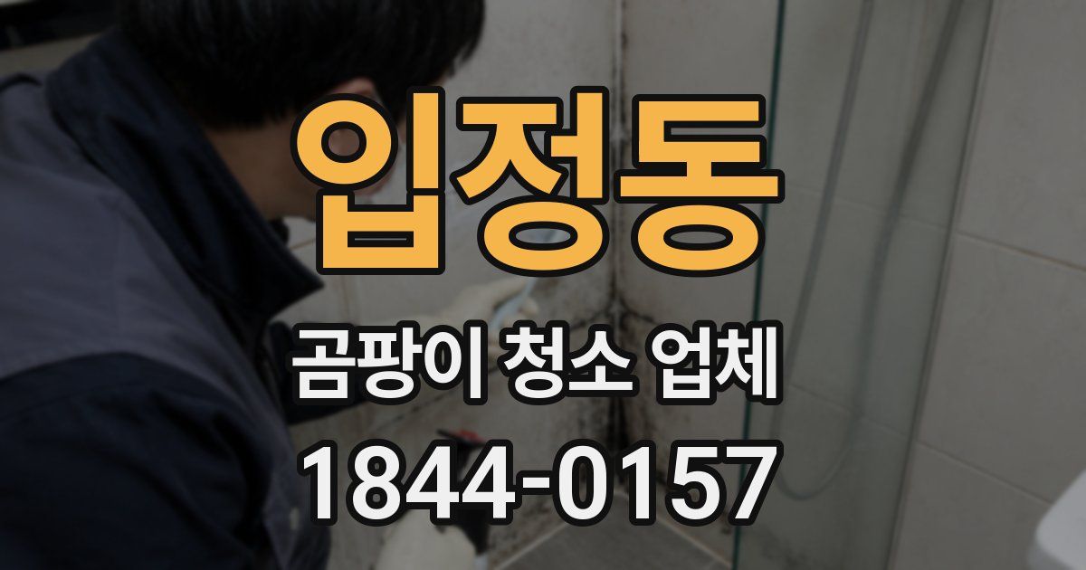 입정동 곰팡이 청소 업체