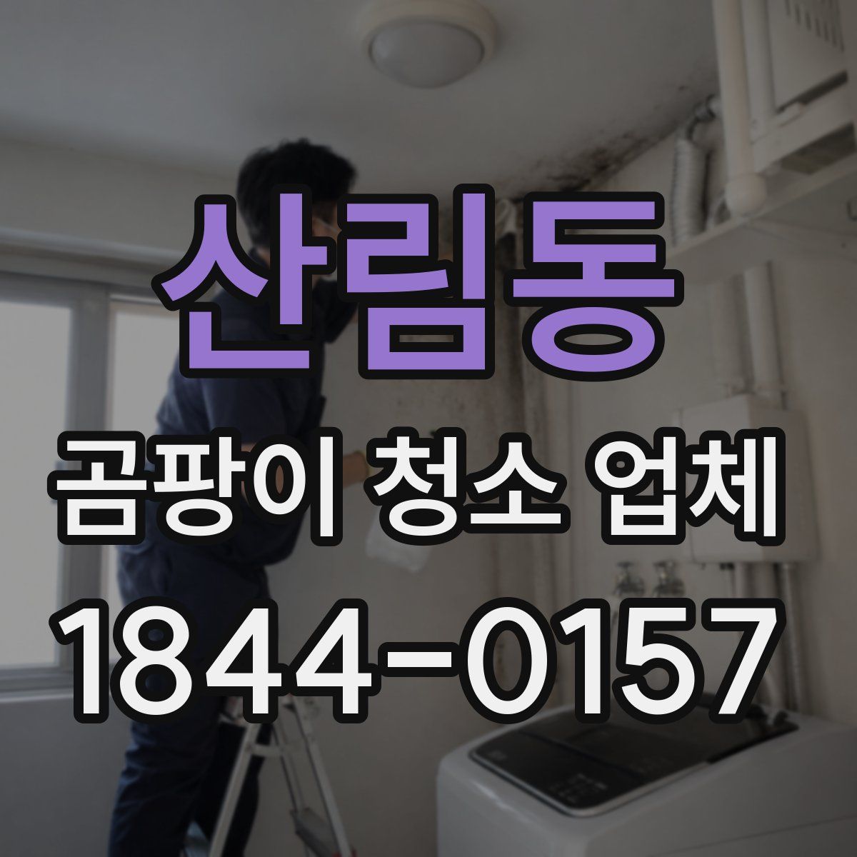 산림동 곰팡이 청소 업체