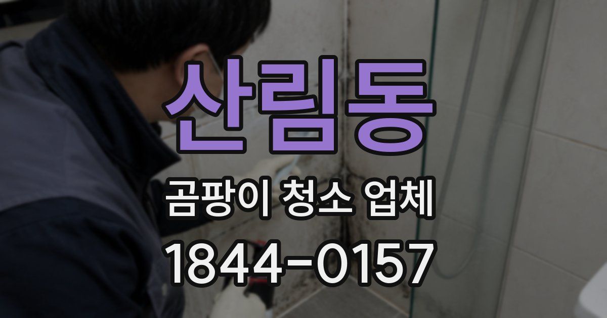 산림동 곰팡이 청소 업체