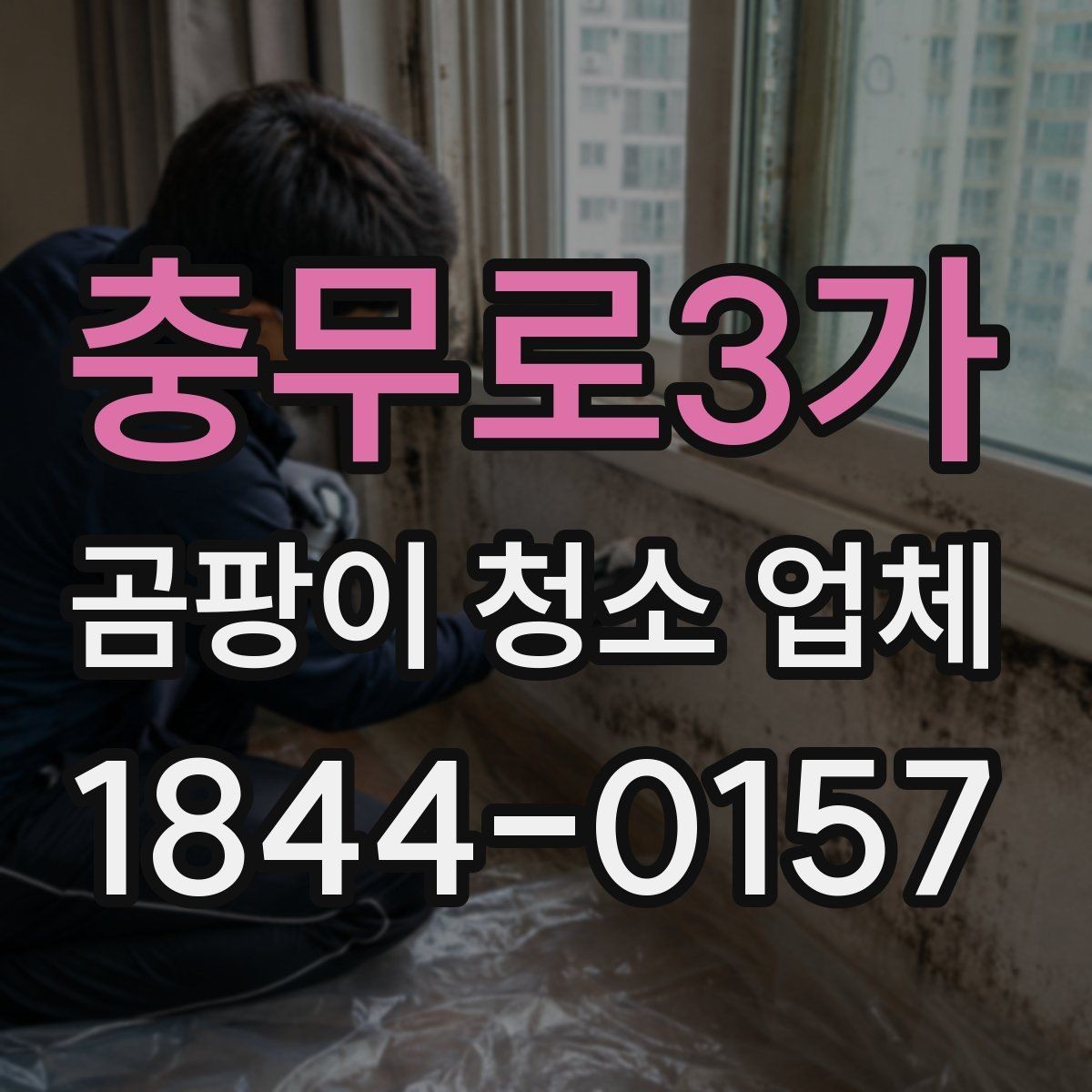 충무로3가 곰팡이 청소 업체 벽면과 가구 뒤 오염을 함께 보는 이유