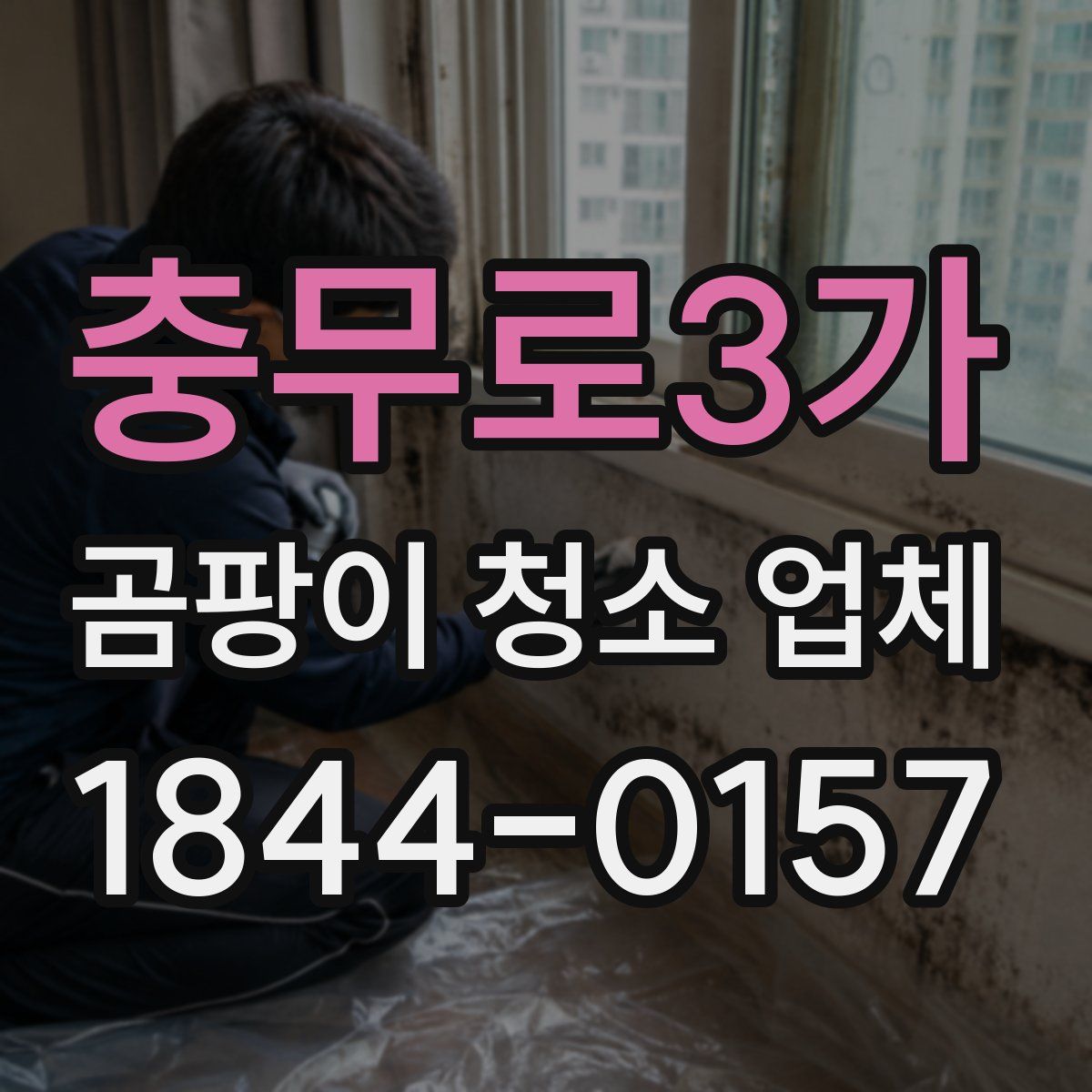 충무로3가 곰팡이 청소 업체