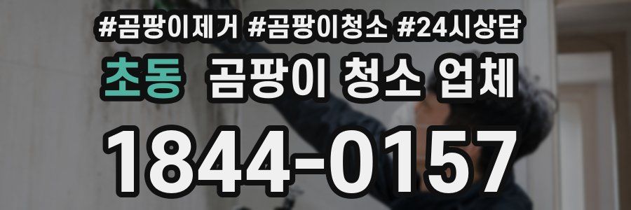 초동 곰팡이 청소 업체