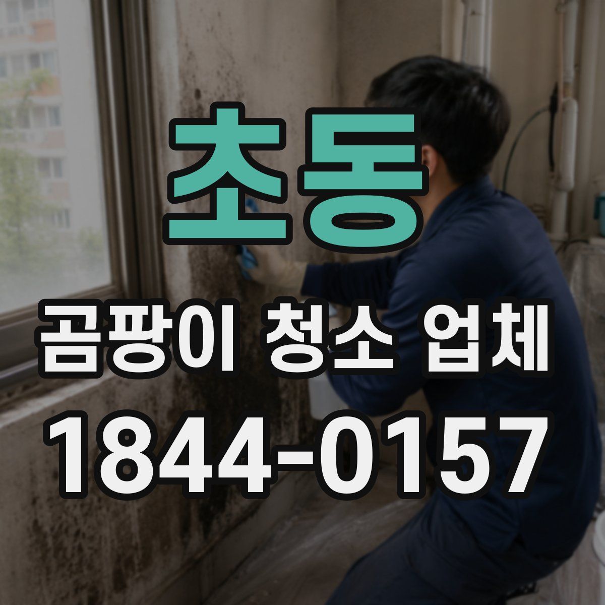 초동 곰팡이 청소 업체