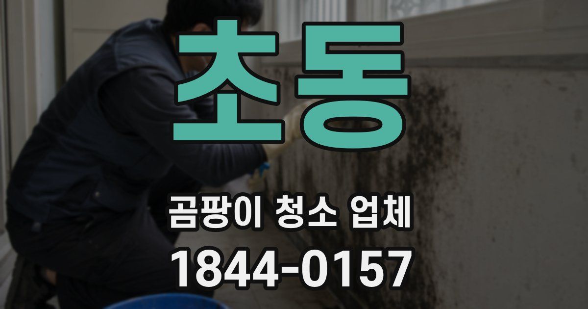 초동 곰팡이 청소 업체