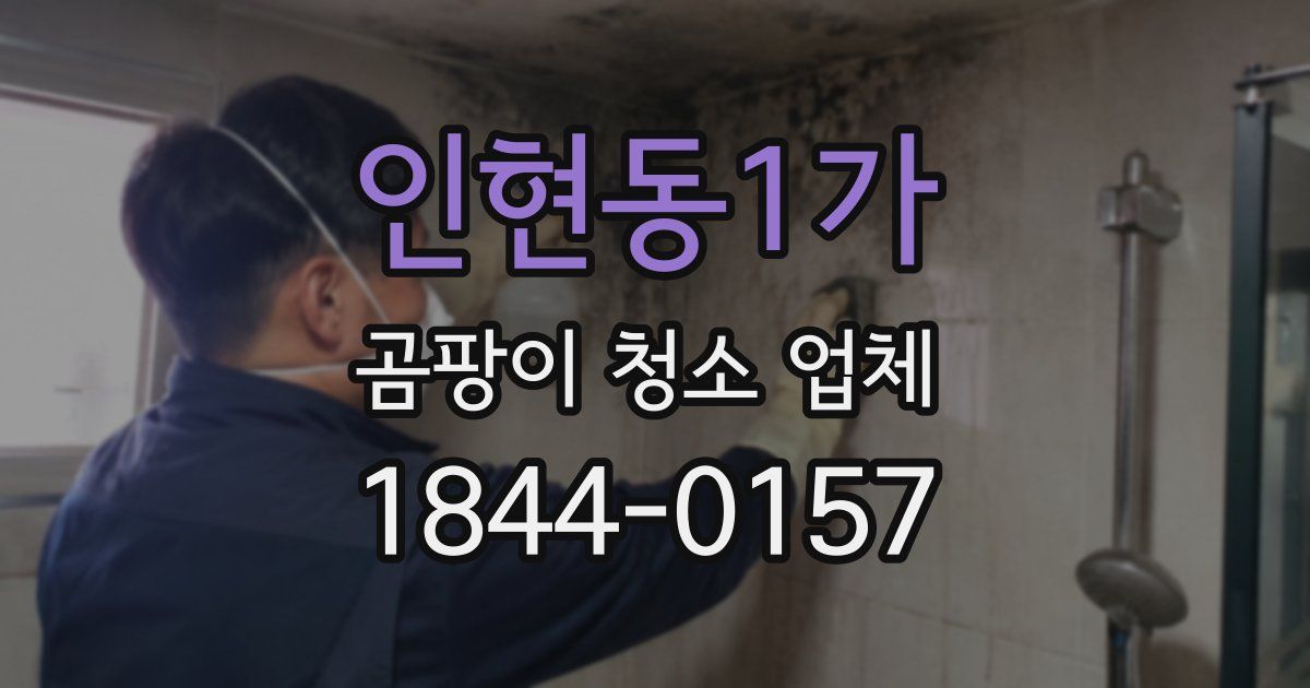 인현동1가 곰팡이 청소 업체