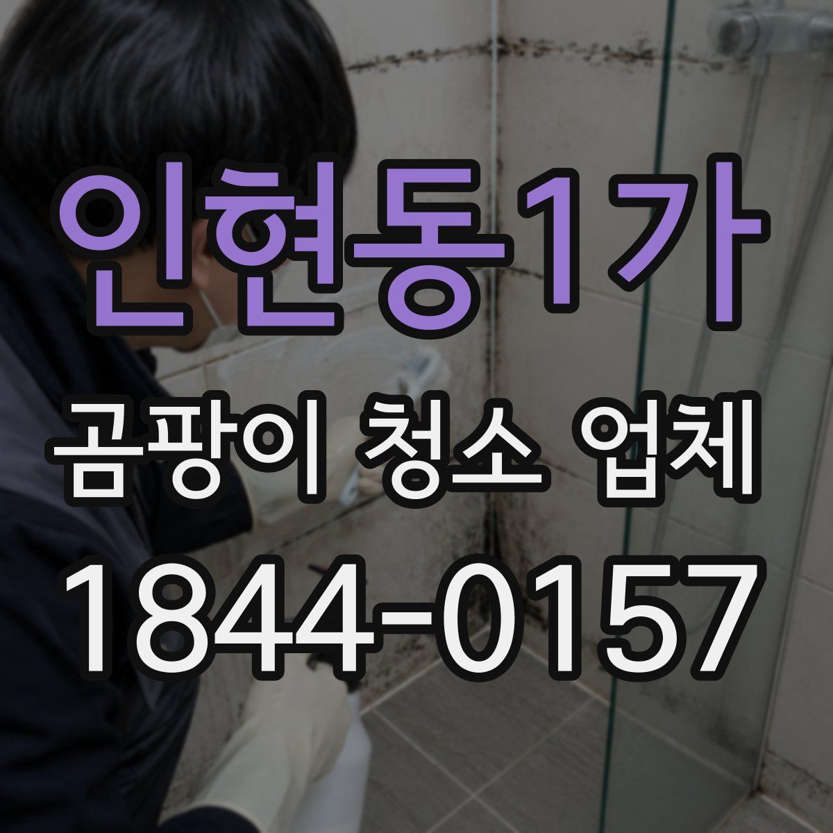 인현동1가 곰팡이 청소 업체