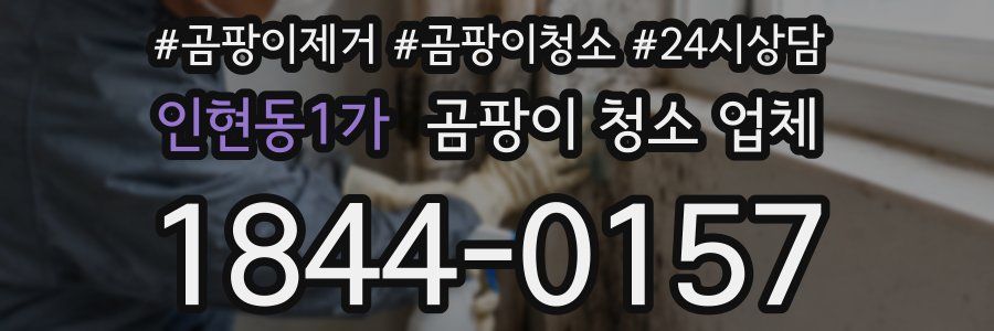인현동1가 곰팡이 청소 업체