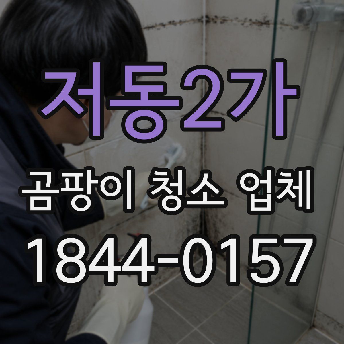 저동2가 곰팡이 청소 업체