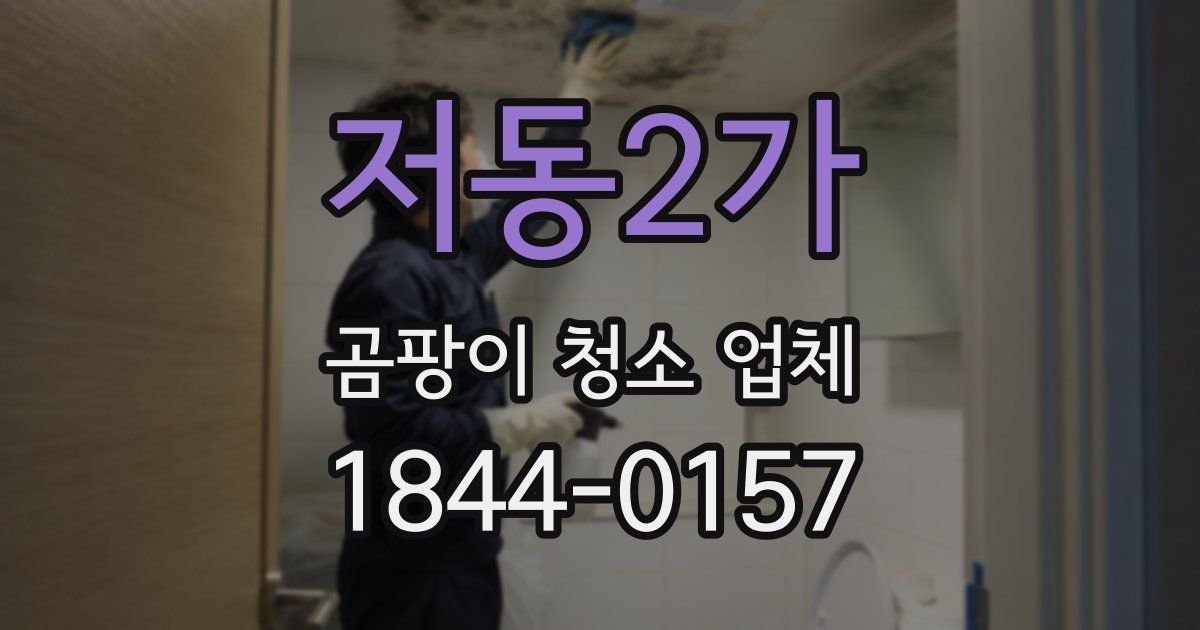 저동2가 곰팡이 청소 업체