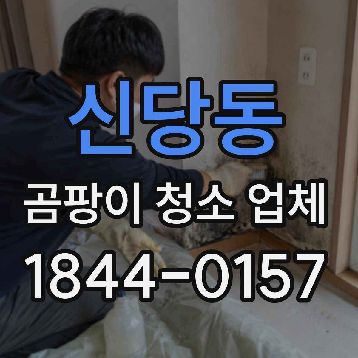 신당동 곰팡이 청소 업체