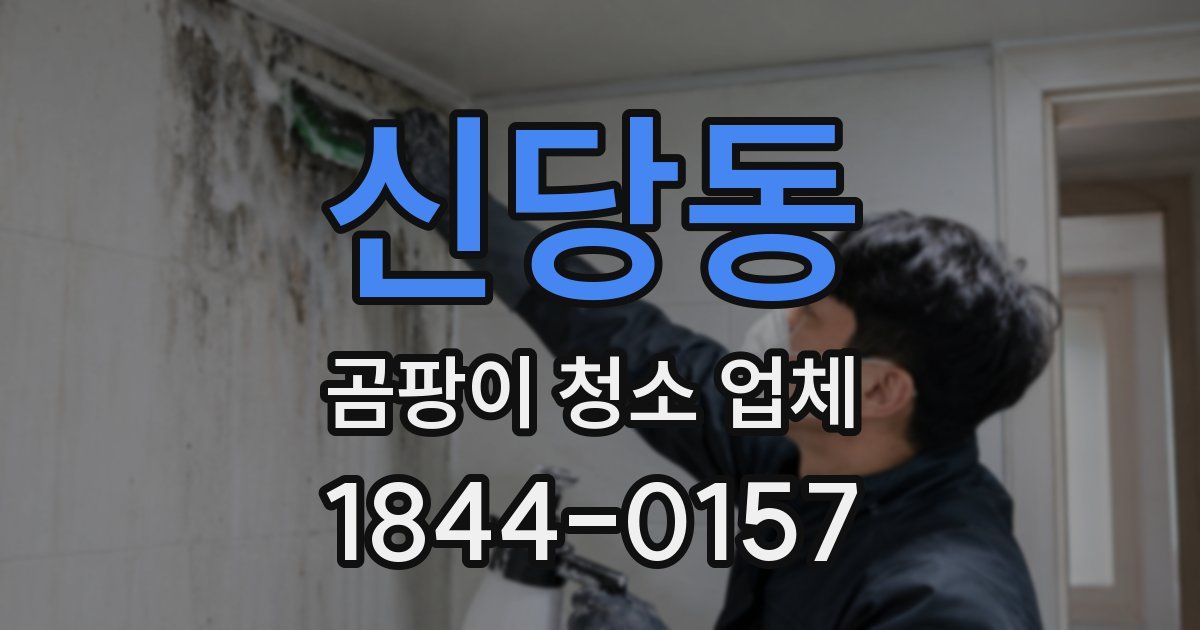 신당동 곰팡이 청소 업체