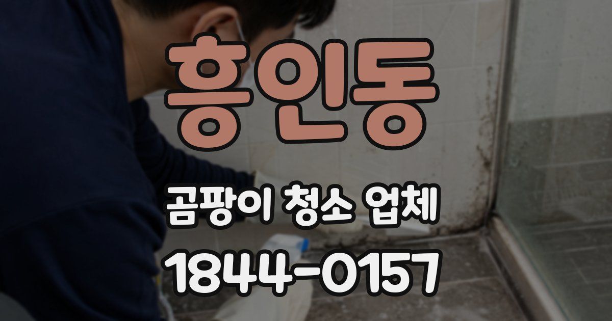 흥인동 곰팡이 청소 업체