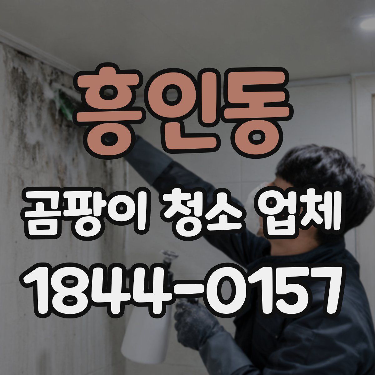 흥인동 곰팡이 청소 업체
