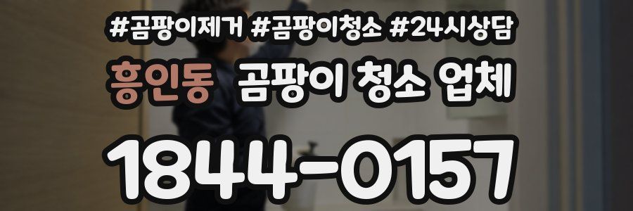 흥인동 곰팡이 청소 업체