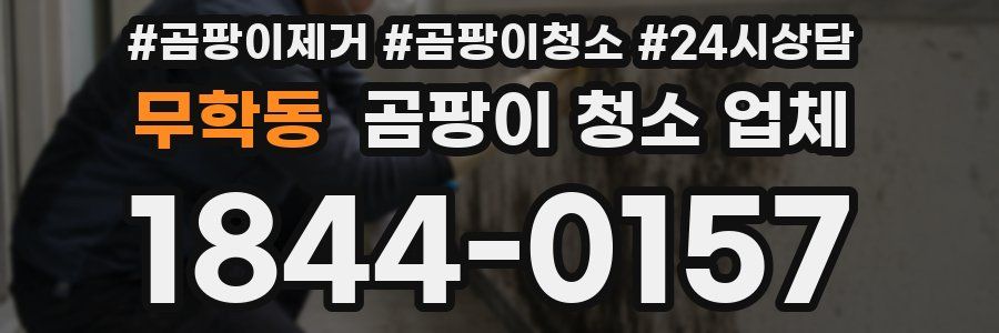 무학동 곰팡이 청소 업체