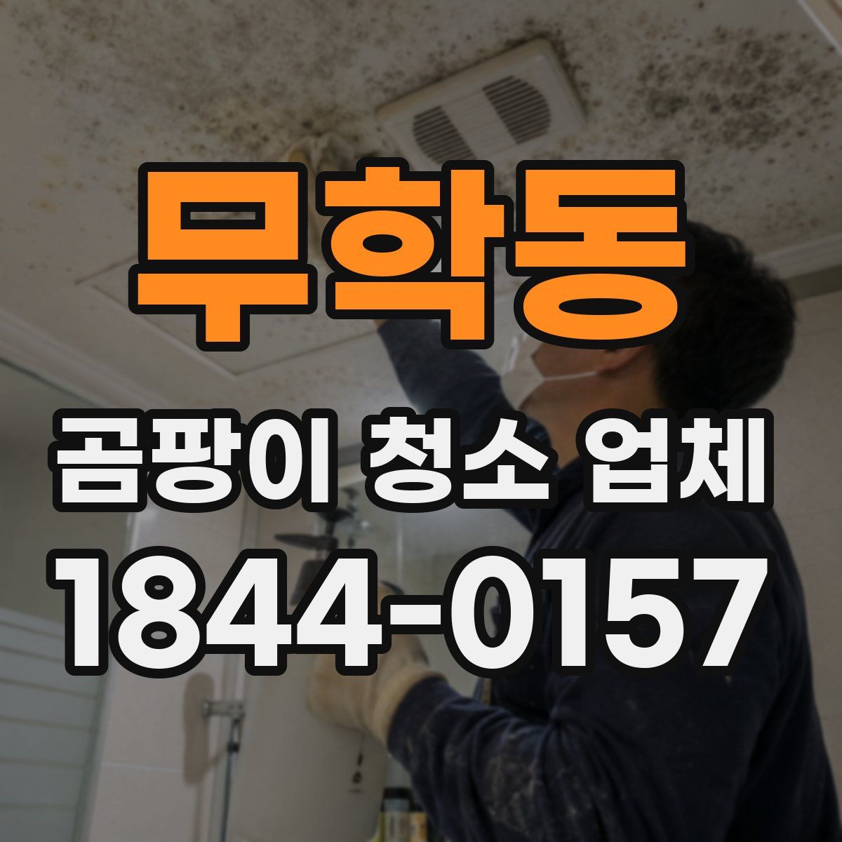 무학동 곰팡이 청소 업체