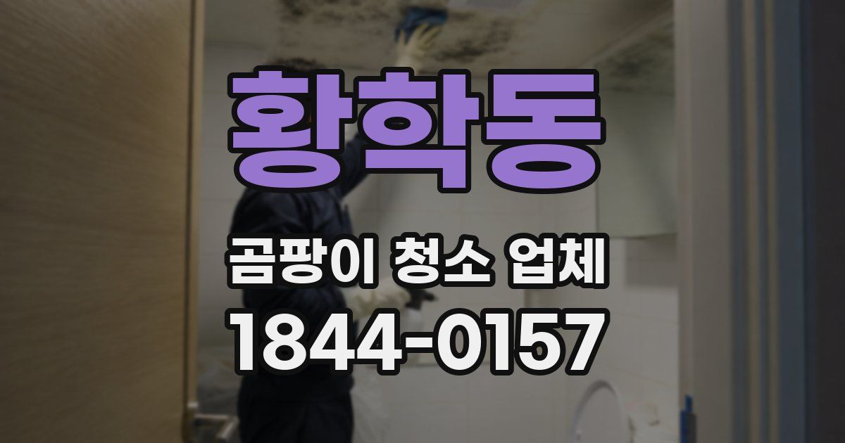 황학동 곰팡이 청소 업체